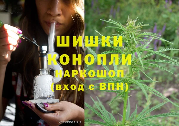 стаф Бугульма