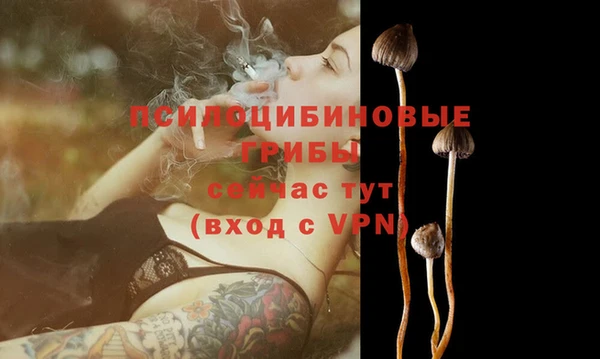 стаф Бугульма