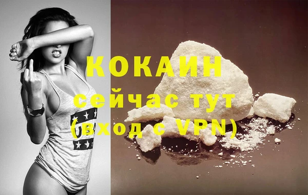 mix Бородино