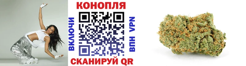 где купить наркотик  mega как зайти  Бошки Шишки Ganja  Новосокольники 